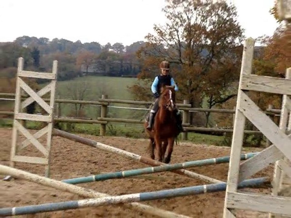 mon loulou