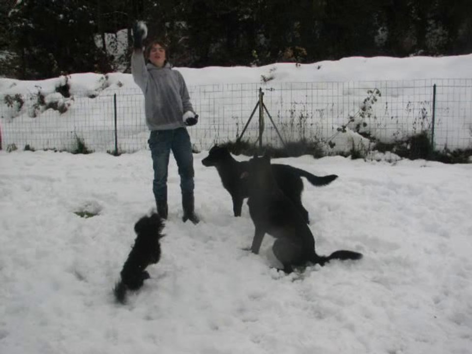 02-12-2010 neige