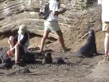 Galapagos Islands travel: Sea lion and her baby; Deirdre