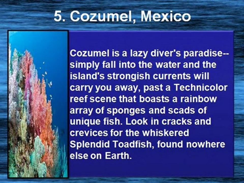 Larry Koonce Scuba Tips