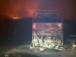 Israel forest fire kills dozens