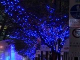 Light-Emitting Trees a Golden Idea, Say Scientists