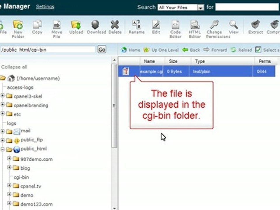 WordPress Tutorial - File Manager – OrderYourName.com