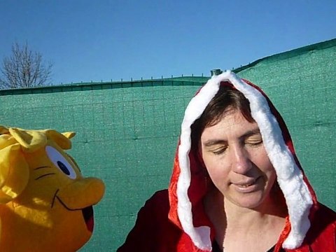 La mere Noel parle aux abeilles dans leur rucher de Balma