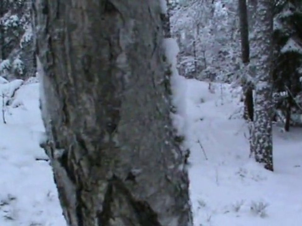 neige stockholm
