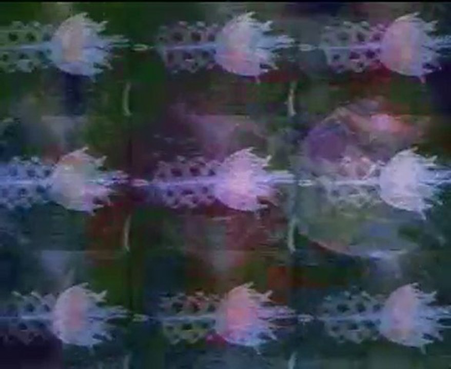 Evolution - Sparkling Sun
