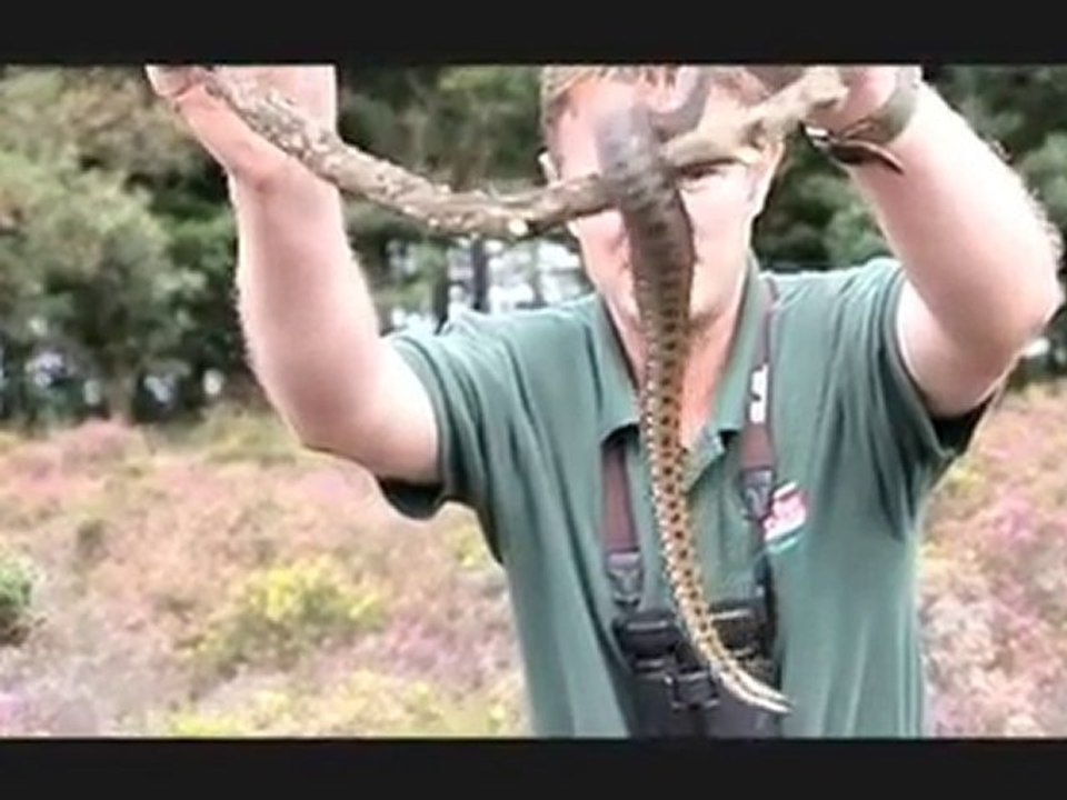 Land Rover Go Beyond Competition- James Chubb