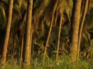 Rumors the Movie : Trailer