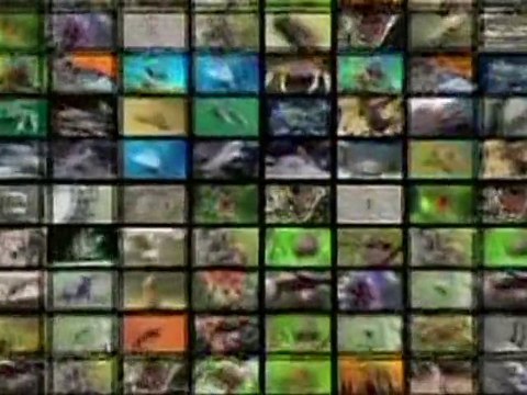 Le Journal vidéo du vendredi 3 décembre 2010, édition de 12H00.