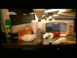 Fabricando metanfetamina