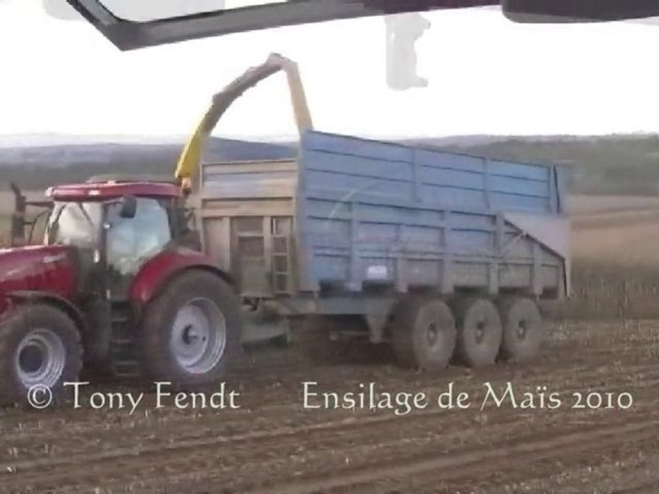Ensilage de Maïs 2010. N°3 Tony
