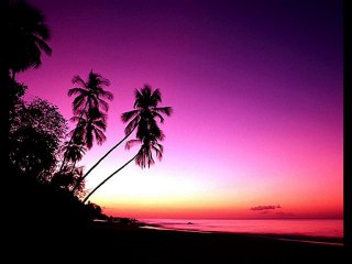 DJ-Bass2K - Danse on Insomnia Partybreak