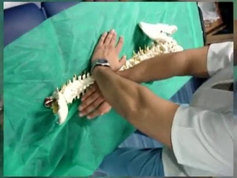 Cursos de Osteopatia y Quiromasaje