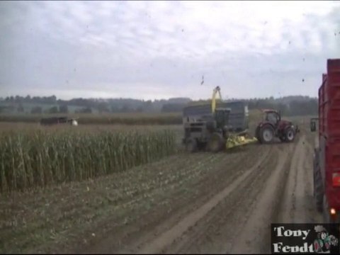 Ensilage de Maïs 2010. N°4 Tony