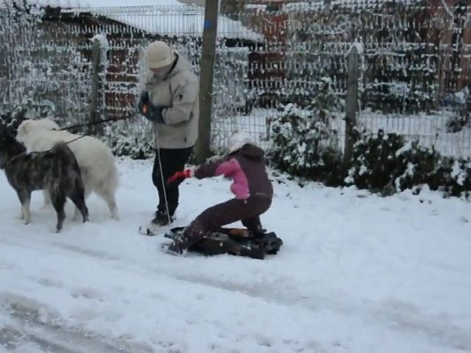 neige 2010