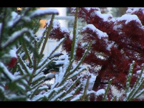 Rochefort - sous la neige
