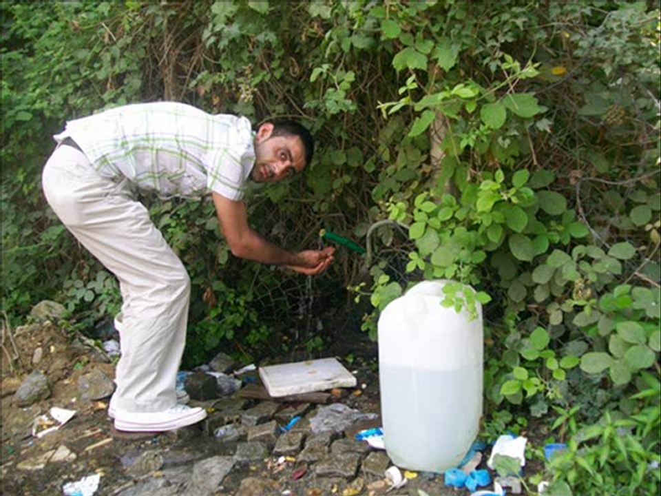 enginaliveysel