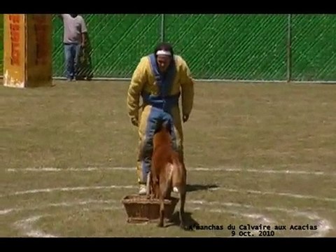 A'manchas du Calvaire aux Acacias