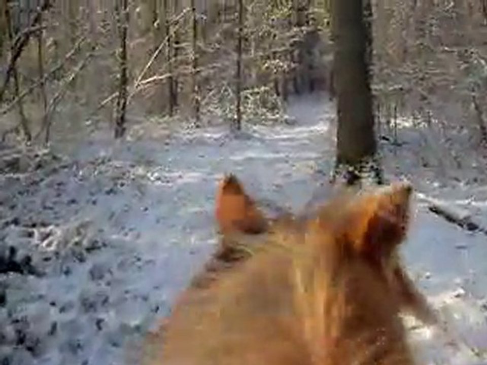 Balade neige maquillé