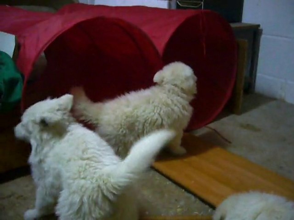 jeux avec les bébés de Dakota et d'Albina