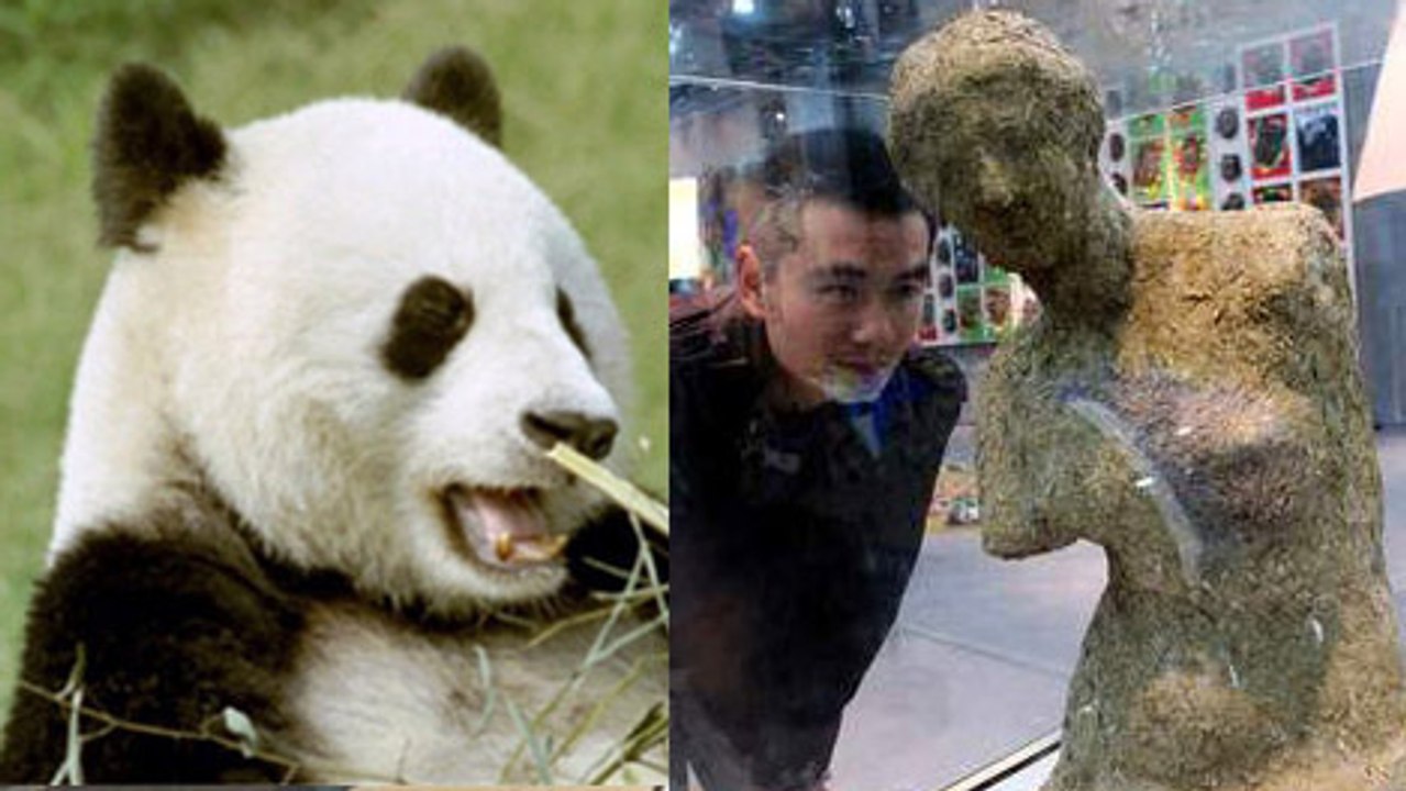Une Venus de Milo... En caca de panda !