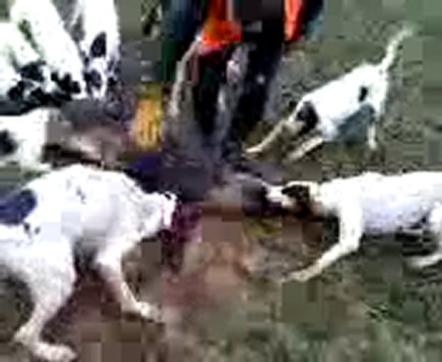 MOV0004A