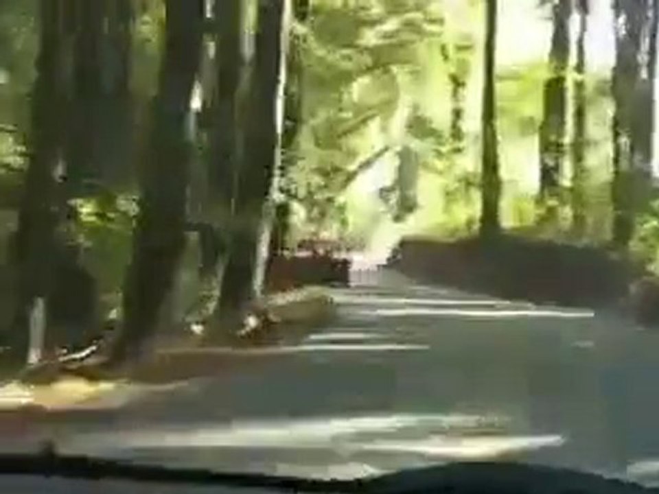 Crash en corvette