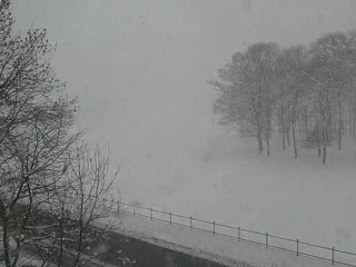 Blanche neige sur newcastle