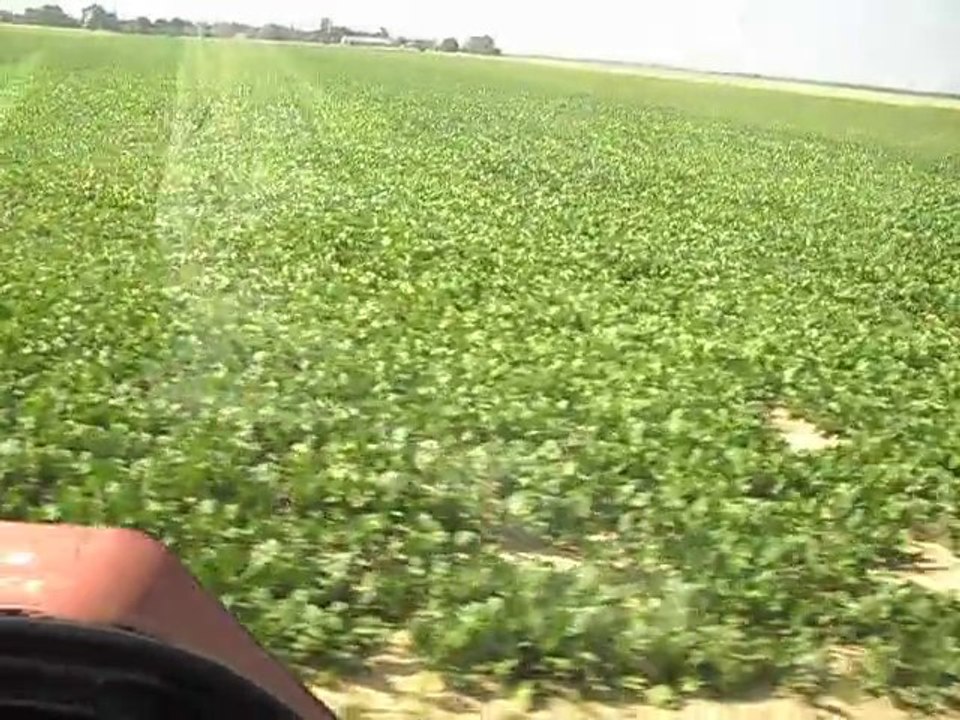 SAM_3214