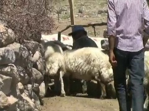 Malatya Arguvan Cakmak koyu cakmak yaylasi