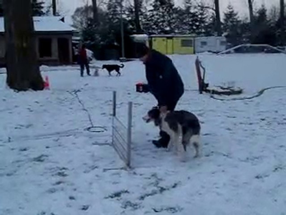 Capone en obé (2)