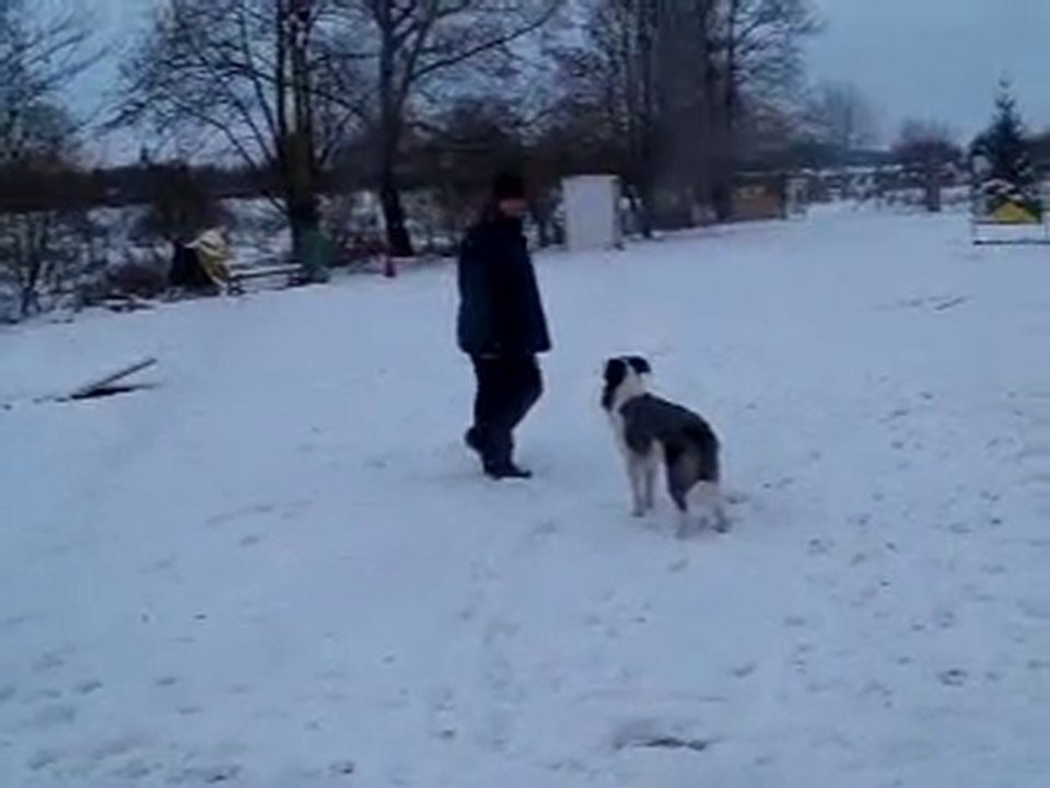 Capone en obé (6)