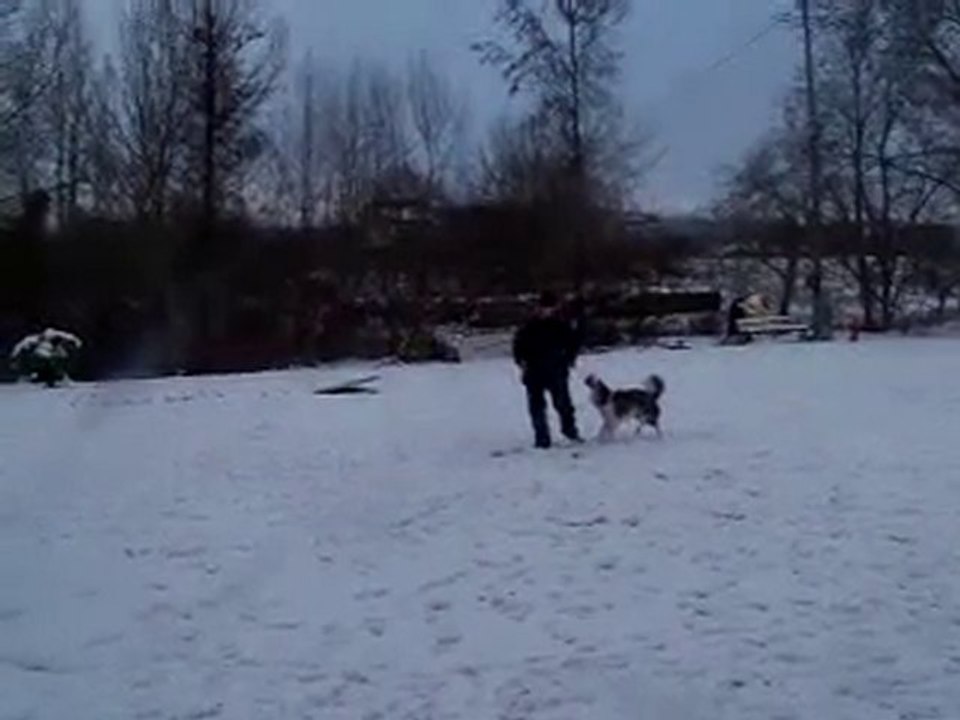 Capone en obé (7)