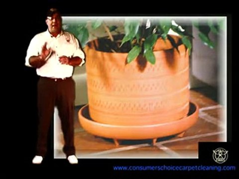 Carpet Stains and Carpet Spots Delray Beach (561) 738-7877