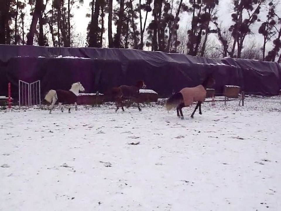 upside, eclair et sun