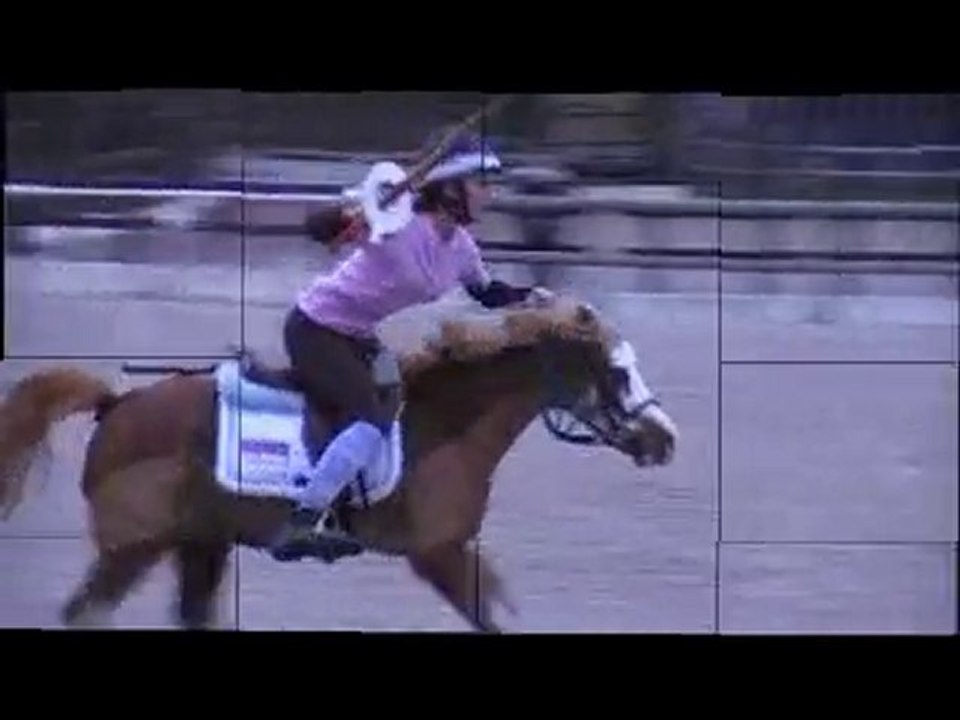 Concours du 28 Novembre BBG