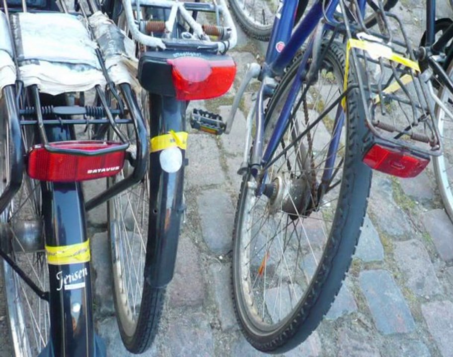 interview Katia Danemark