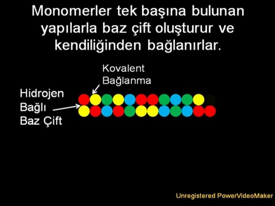 Evrim Teorisi -4- Hayatın Başlangıcı ve Abiyogenez Teorisi