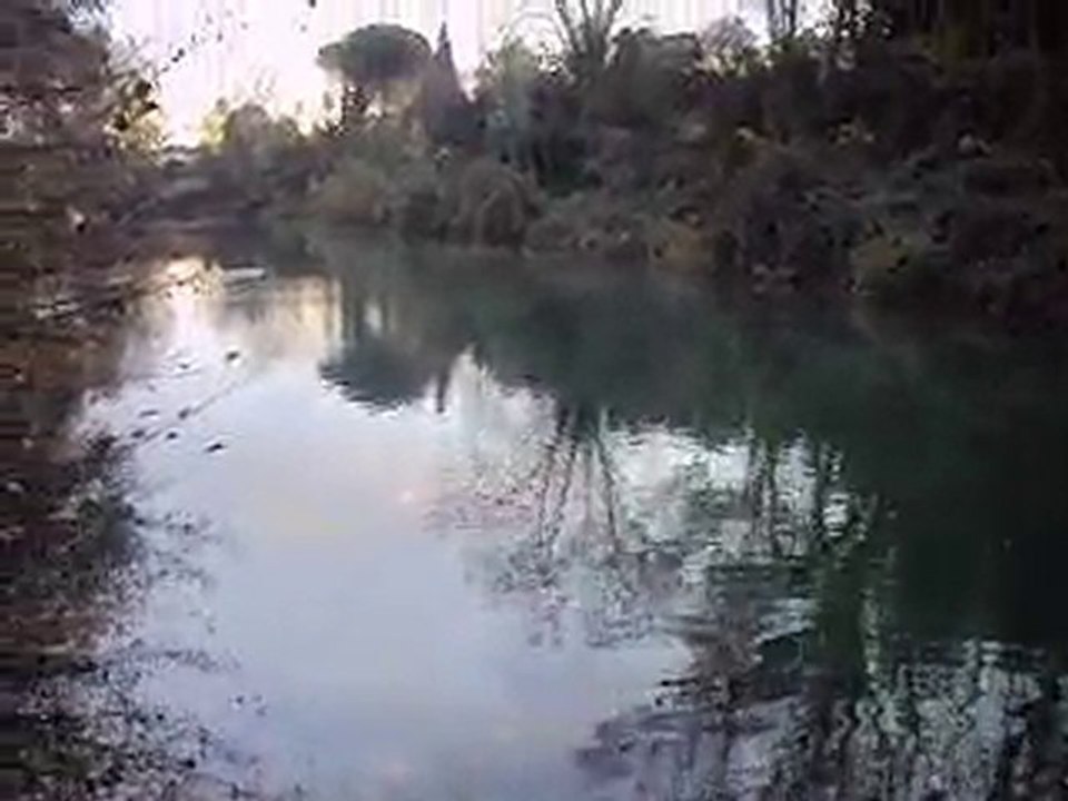 Montpellier Lez Parc rimbaud