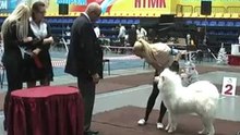 Тагильская феерия 2010