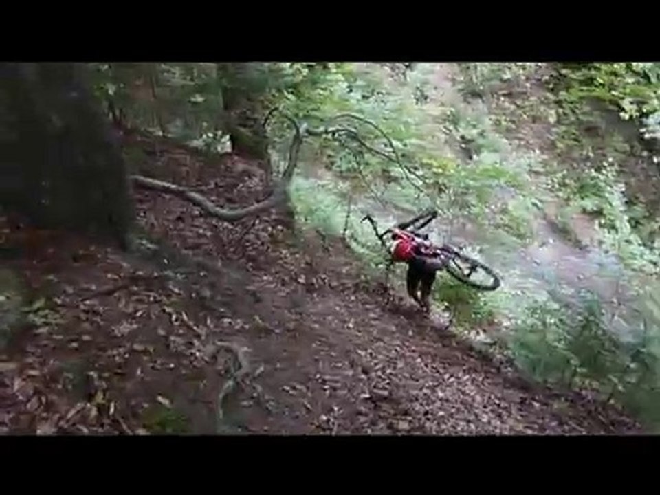 MTB Diverse