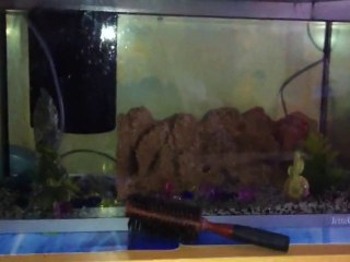 [04/12/2010] Noisette s'enerve encore...