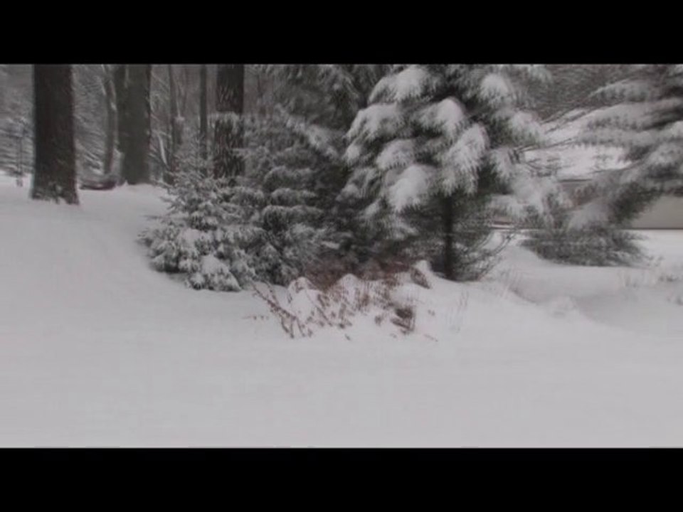 Tatry. Stary niedźwiedź (niezbyt) mocno śpi...
