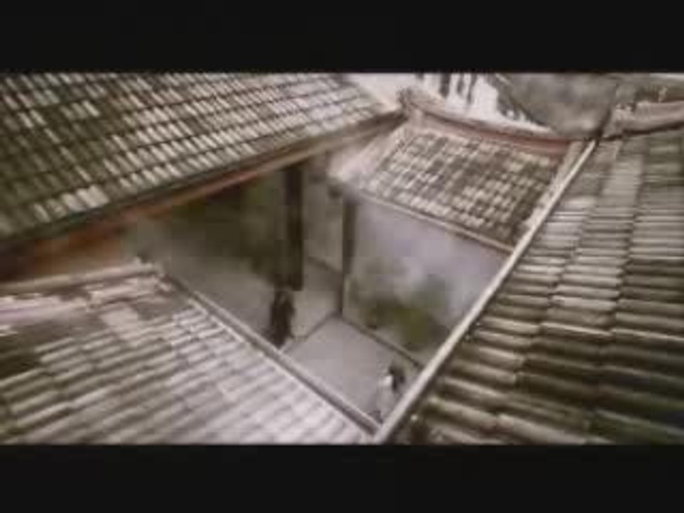 le Samouraï et la mouche