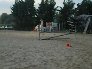 Crin Blanc & Maurane 75 cm