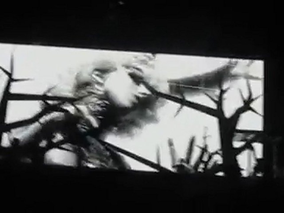 Lady Gaga - Paws Up Lyon