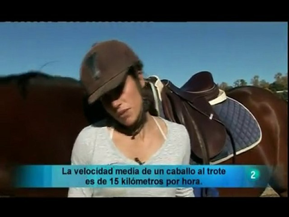Los Aires del Caballo