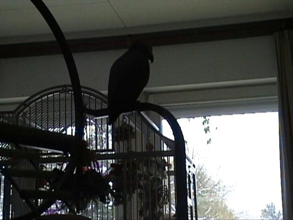 Atchoum à tes souhaits