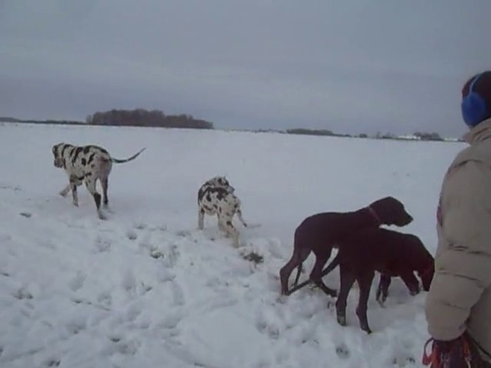 04 12 2010 Balade des bébés dans la neige