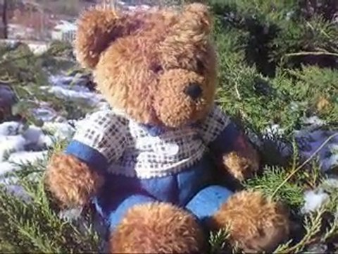 Ours. Oursons chanteurs!...